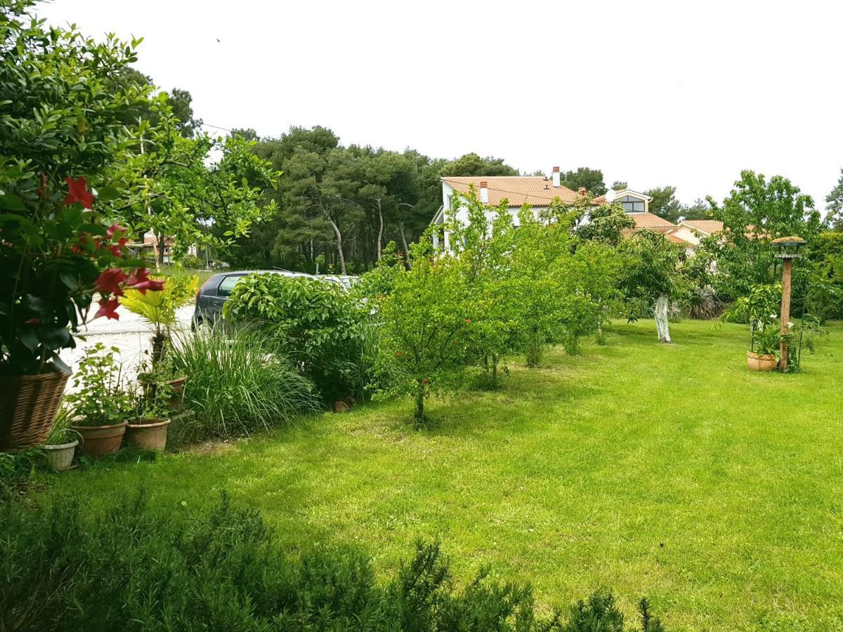 Greenhill * Pula