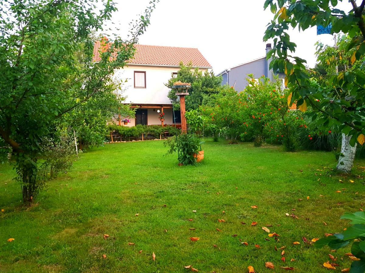 Greenhill Apartment Pula